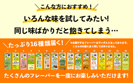 【合計200ml×16本】キッコーマン バラエティーセット 200ml ／ 飲料 豆乳 健康 おまかせ おやつ 豆乳飲料 大豆 パック セット 定番 飲み切り おすすめ 茨城県 五霞町