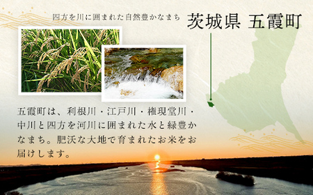 令和7年産 ミルキークイーン 精米 10kg (5kg×2袋)  中山産業 【価格変更AA】