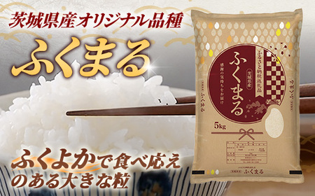 令和7年産 茨城県産 ふくまる 5kg ／ お米 精米 新米 旨味 安心 美味しい 茨城県 五霞町【価格改定】
