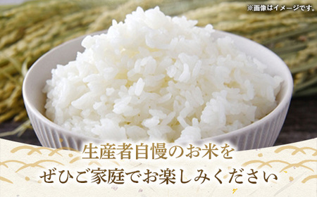 令和7年産 茨城県産 ふくまる 5kg ／ お米 精米 新米 旨味 安心 美味しい 茨城県 五霞町【価格改定】