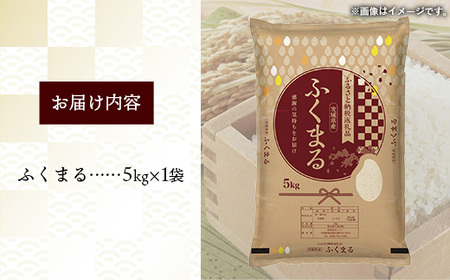 令和7年産 茨城県産 ふくまる 5kg ／ お米 精米 新米 旨味 安心 美味しい 茨城県 五霞町【価格改定】
