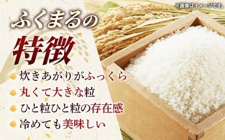 令和7年産 茨城県産 ふくまる 10kg ／ お米 精米 新米 旨味 安心 美味しい 茨城県 五霞町【価格改定】