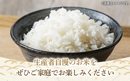 令和7年産 茨城県産 にじのきらめき 5kg ／ お米 精米 新米 旨味 安心 美味しい 茨城県 五霞町【価格改定】