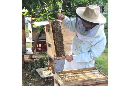 田舎はちみつ あかぼっけ 全7種(120g) 月ごとに楽しむはちみつギフトセット 無添加 非加熱 生はちみつ ハチミツ 蜂蜜