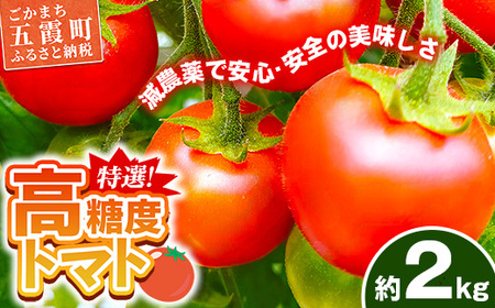 山中トマト農園がお届けする!五霞町の特選 高糖度トマト 2箱(約2kg)/ 完熟 甘い 減農薬 こだわり 贈り物 エクセレントトマト 中玉トマト 野菜 とまと 茨城県 五霞町