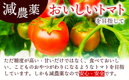 山中トマト農園がお届けする!五霞町の特選 高糖度トマト 2箱(約2kg)/ 完熟 甘い 減農薬 こだわり 贈り物 エクセレントトマト 中玉トマト 野菜 とまと 茨城県 五霞町