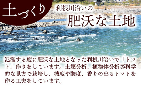 山中トマト農園がお届けする!五霞町の特選 高糖度トマト 2箱(約2kg)/ 完熟 甘い 減農薬 こだわり 贈り物 エクセレントトマト 中玉トマト 野菜 とまと 茨城県 五霞町