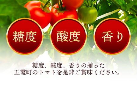 山中トマト農園がお届けする!五霞町の特選 高糖度トマト 2箱(約2kg)/ 完熟 甘い 減農薬 こだわり 贈り物 エクセレントトマト 中玉トマト 野菜 とまと 茨城県 五霞町
