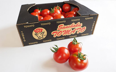 山中トマト農園がお届けする!五霞町の特選 高糖度トマト 2箱(約2kg)/ 完熟 甘い 減農薬 こだわり 贈り物 エクセレントトマト 中玉トマト 野菜 とまと 茨城県 五霞町