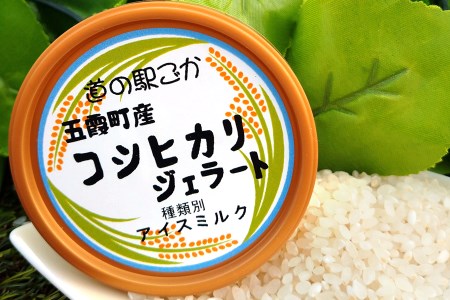 《道の駅ごか》オリジナルジェラート 9個セット1(さつま芋・米・レモン) ／ ジェラート アイス さつまいも 紅はるか 米 コシヒカリ レモン はちみつ シャーベット セット 道の駅ごか 茨城県 五霞町 五霞町産【価格改定】