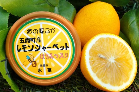 《道の駅ごか》オリジナルジェラート 12個セット1(さつま芋・米・レモン)