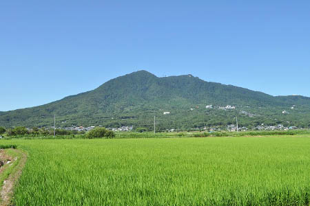 令和6年茨城県産コシヒカリ20kg (10kg×2)