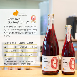 K2313A【スパークリングワイン3種セット】750ml×3本 さかいまちワイナリー