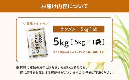 K2464【令和6年産】※ランダム※ ＜2025年03月内発送＞  お米 5kg  茨城県産 白米