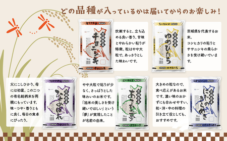 K2485 【令和5年産】※ランダム※ ＜2024年05月内発送＞ お米 10kg 2種 食べくらべ 茨城県産 白米