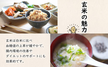 S263【令和7年産】境町こだわり玄米「コシヒカリ」 10kg(5kg×2袋)