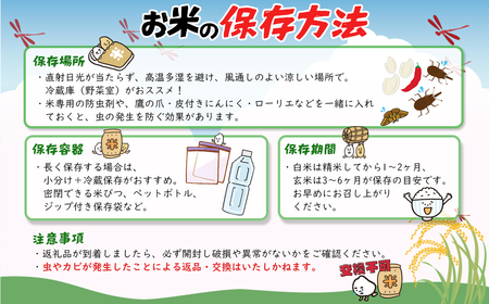 S263【令和7年産】境町こだわり玄米「コシヒカリ」 10kg(5kg×2袋)