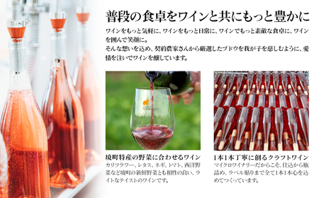 【3ヶ月定期便/毎月連続お届け】 ワイン おまかせ 飲み比べセット 750ml×2本 さかいまち