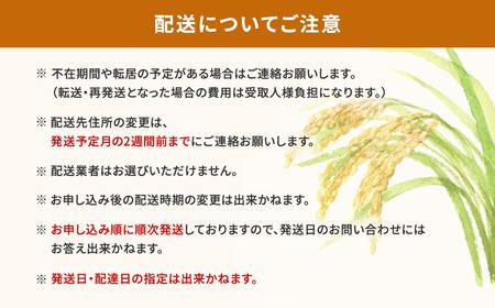 ＜2025年2月月内発送＞ 10kg (5kg×2袋) 令和6年産 先行予約 こしひかり あきたこまち にじのきらめき ミルキークイーン などランダム11種から 食べ比べ 白米 精米 茨城県米 境町米 2024年 K2457