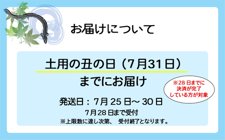 【土用の丑の日までにお届け(7月14日～18日発送)】 国産うなぎ3尾 計300g以上 数量限定 先行予約 さかい河岸水産 ※サイズ無選別 蒲焼き 鰻 ウナギ K1804