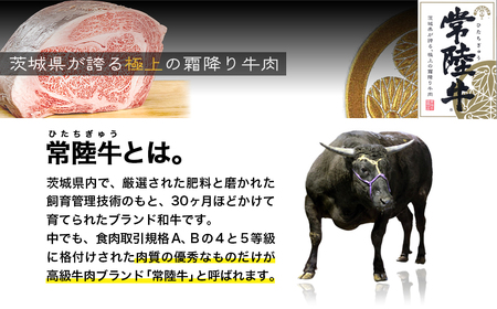 K2559 【茨城県共通返礼品】 WO-29Butchers 常陸牛サイコロステーキ 500g