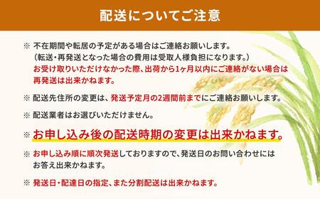 【無洗米】令和7年産 あきたこまち 10kg 令和8年1月内発送 茨城県産 米 K2453