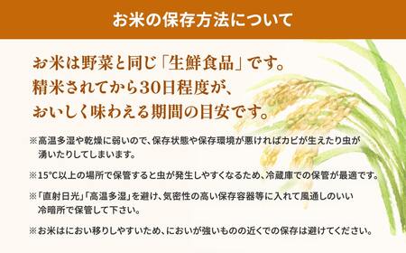 【無洗米】令和7年産 あきたこまち 10kg 令和8年1月内発送 茨城県産 米 K2453