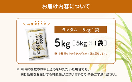 【令和7年産/白米】令和8年1月内発送 ランダム 5kg 茨城県産 米 K2464