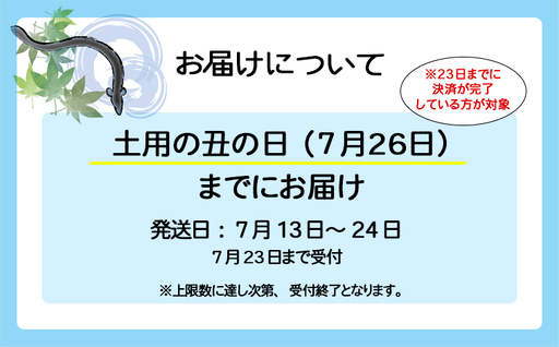 【土用の丑の日までにお届け】 国産 うなぎ 蒲焼 2尾 350g以上 鰻 蒲焼き K2185