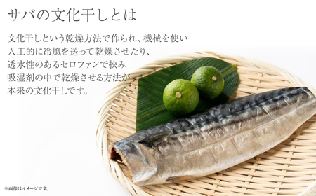 K2587 【茨城県共通返礼品/神栖市】大トロ さば 文化干し 1枚真空×6パック 魚 さば サバ 鯖  真空パック 化粧箱 冷凍 一夜干し