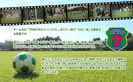 【2026年1月内発送】 境トリニタス応援ボックスティッシュ 5箱 K2602