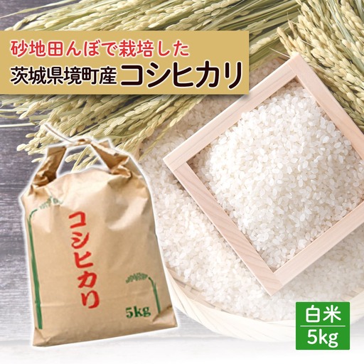 令和7年産 / 白米 《50個限定》 令和7年産 茨城県 境町産 コシヒカリ 5kg 2025年産 S275