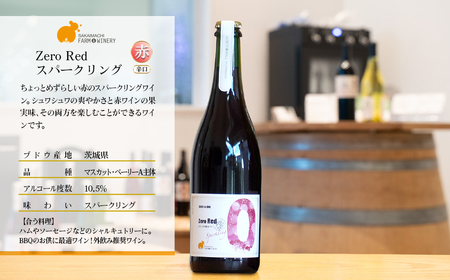 【スパークリングワイン3種セット】 750ml×3本 さかいまち ワイナリー K2649