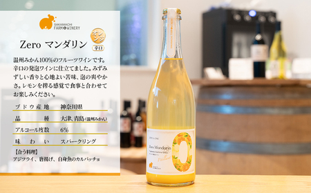 【スパークリングワイン3種セット】 750ml×3本 さかいまち ワイナリー K2649