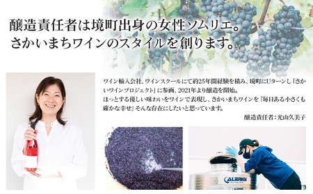 【スパークリングワイン3種セット】 750ml×3本 さかいまち ワイナリー K2649