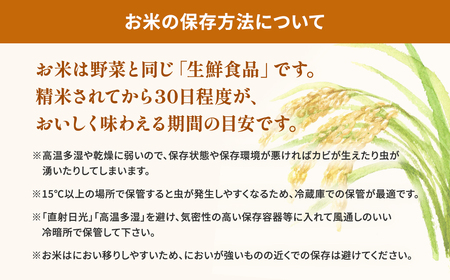 米 精米 令和7年産 コシヒカリ 10kg K2654