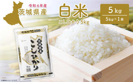 【令和6年産/白米】 <令和8年1月内発送> コシヒカリ 5kg 茨城県産 K2657