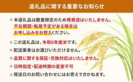 【令和6年産/白米】 <令和8年1月内発送> コシヒカリ 5kg 茨城県産 K2657