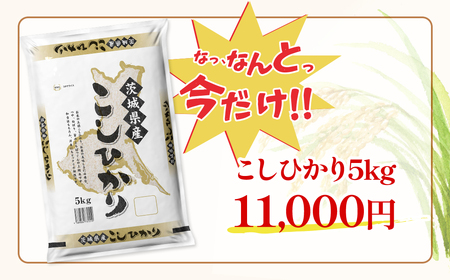 白米 1月発送 こしひかり 5kg 令和7年産 精米 K2670
