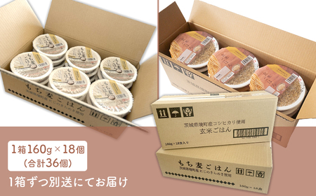 茨城県境町産 パックごはん 玄米 もち麦 36個 K2675