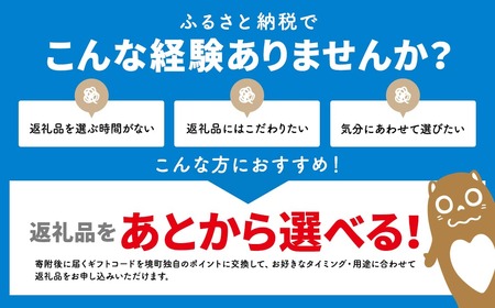 【あとから選べるカタログ】寄附20,000円(6,000円分ポイント)800品以上!あとからセレクト