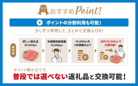 【あとから選べるカタログ】寄附20,000円(6,000円分ポイント)800品以上!あとからセレクト
