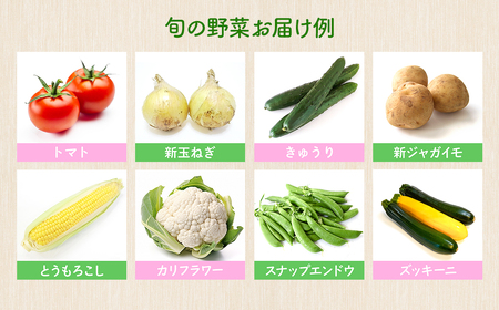 K1667【ふるさと納税限定】さかいの採れたて野菜セット