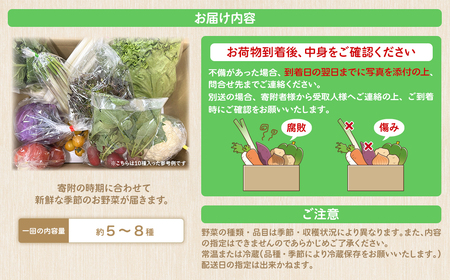 K1667【ふるさと納税限定】さかいの採れたて野菜セット