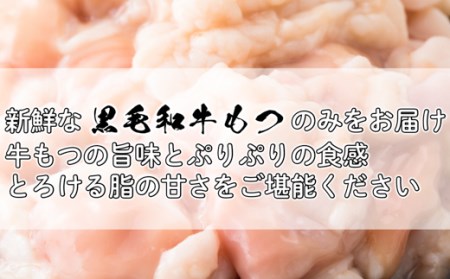 K1823 黒毛和牛もつ鍋セット 黒毛和牛もつ 1000g (250g × 4パック)