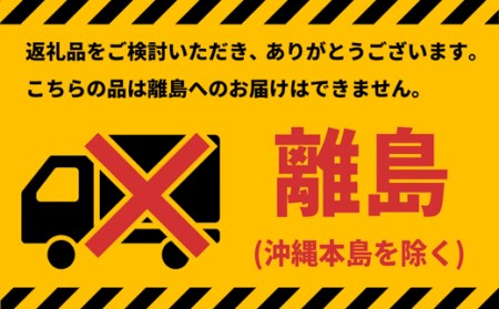 K1938 Yogibo Support ヨギボーサポート 【パープル】 | 茨城県境町