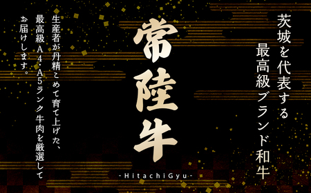 K2084 【常陸牛100%】ハンバーグ 10個 (ソース付)