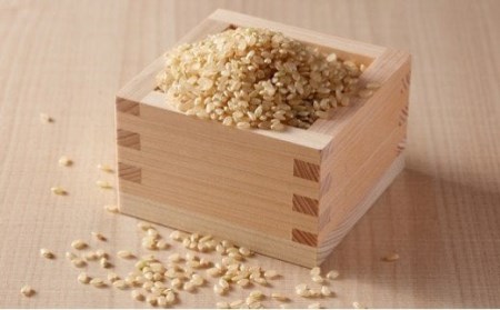 S219【令和4年産】境町のこだわり玄米「一番星」30kg 新米