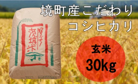 S220【令和4年産】境町のこだわり玄米「コシヒカリ」30kg 新米
