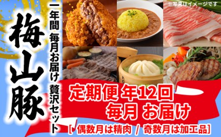 K1877 【定期便】 塚原牧場 幻の豚 「梅山豚」 贅沢定期便 <12回コース>